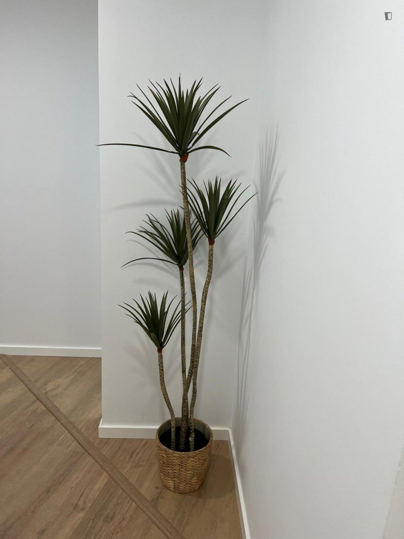 Habitación en alquiler, Manresa