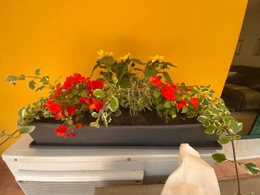 Piso de 110 m² en Estepona
