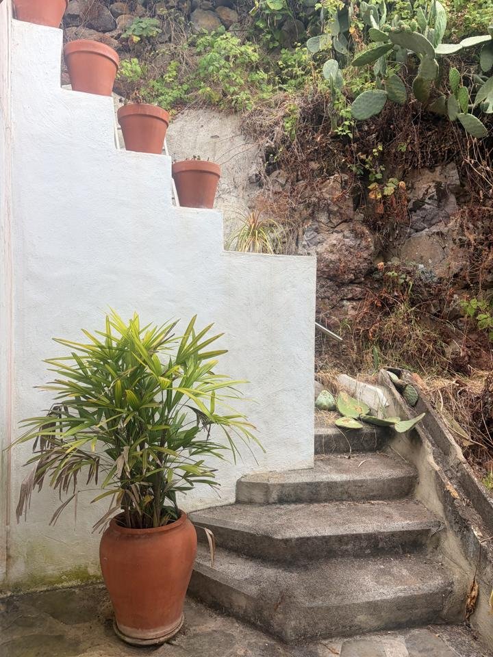 Casa de 50 m² en Firgas