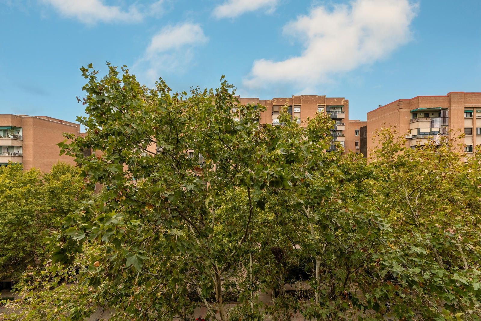 Appartamento 66 m² a Madrid