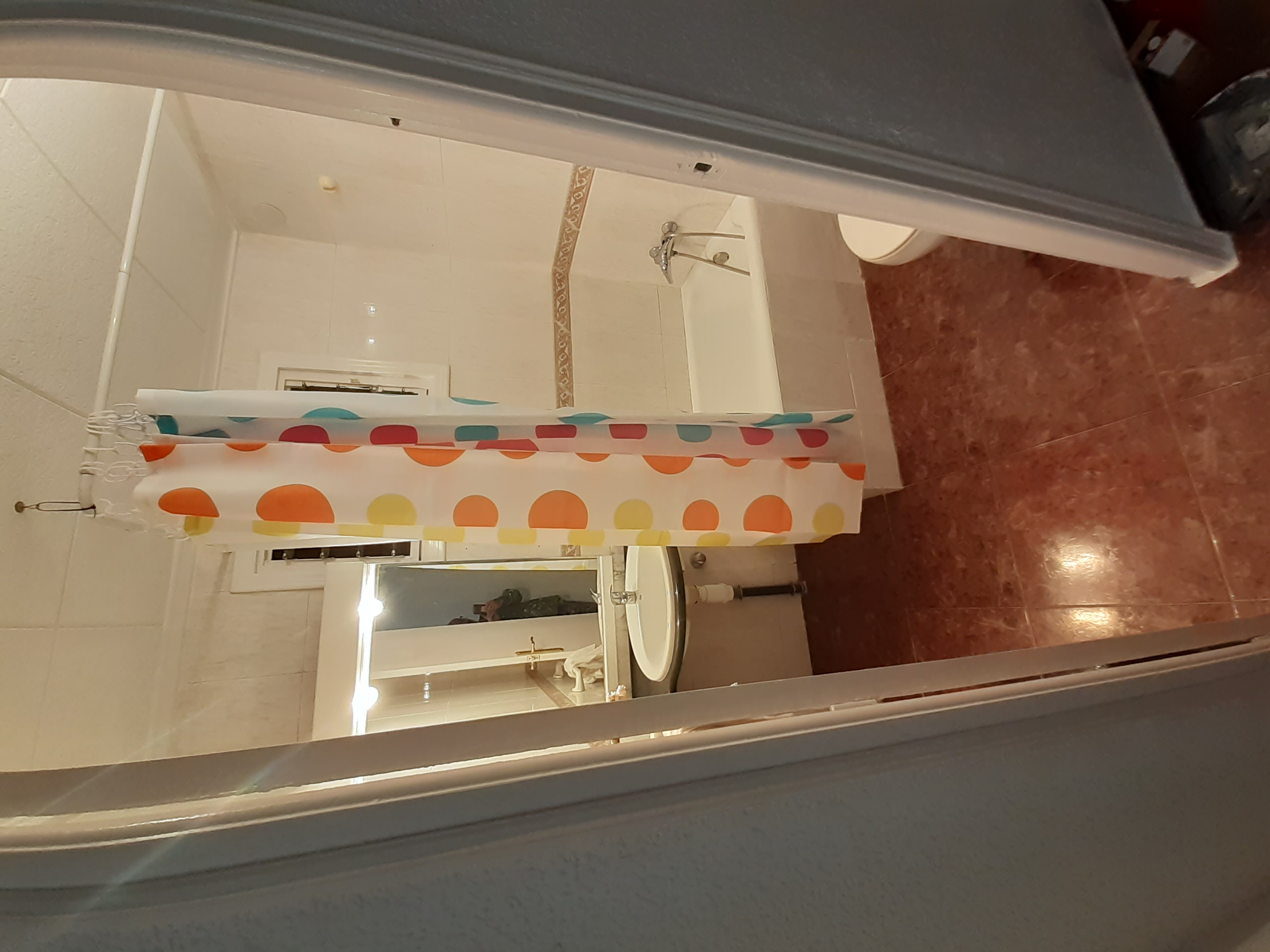 Habitació de lloguer, Elx