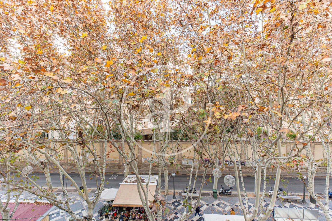 Pis de 90 m² a Palma