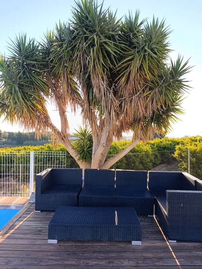 Haus 80 m² in Godelleta