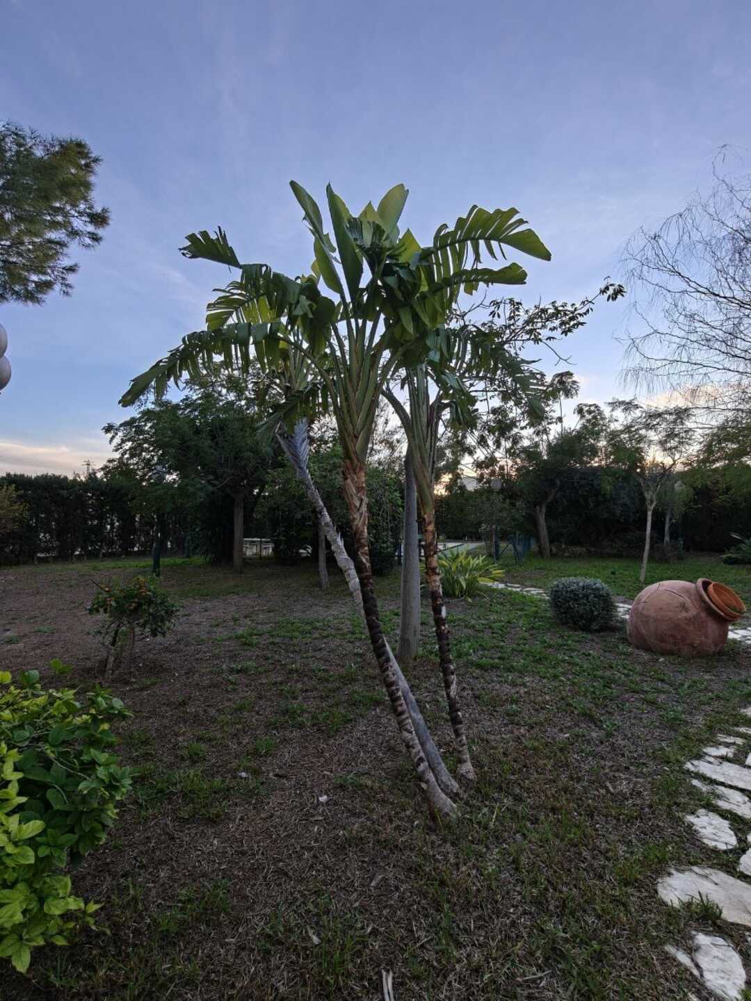 Pis de 252 m² a Sant Vicent del Raspeig