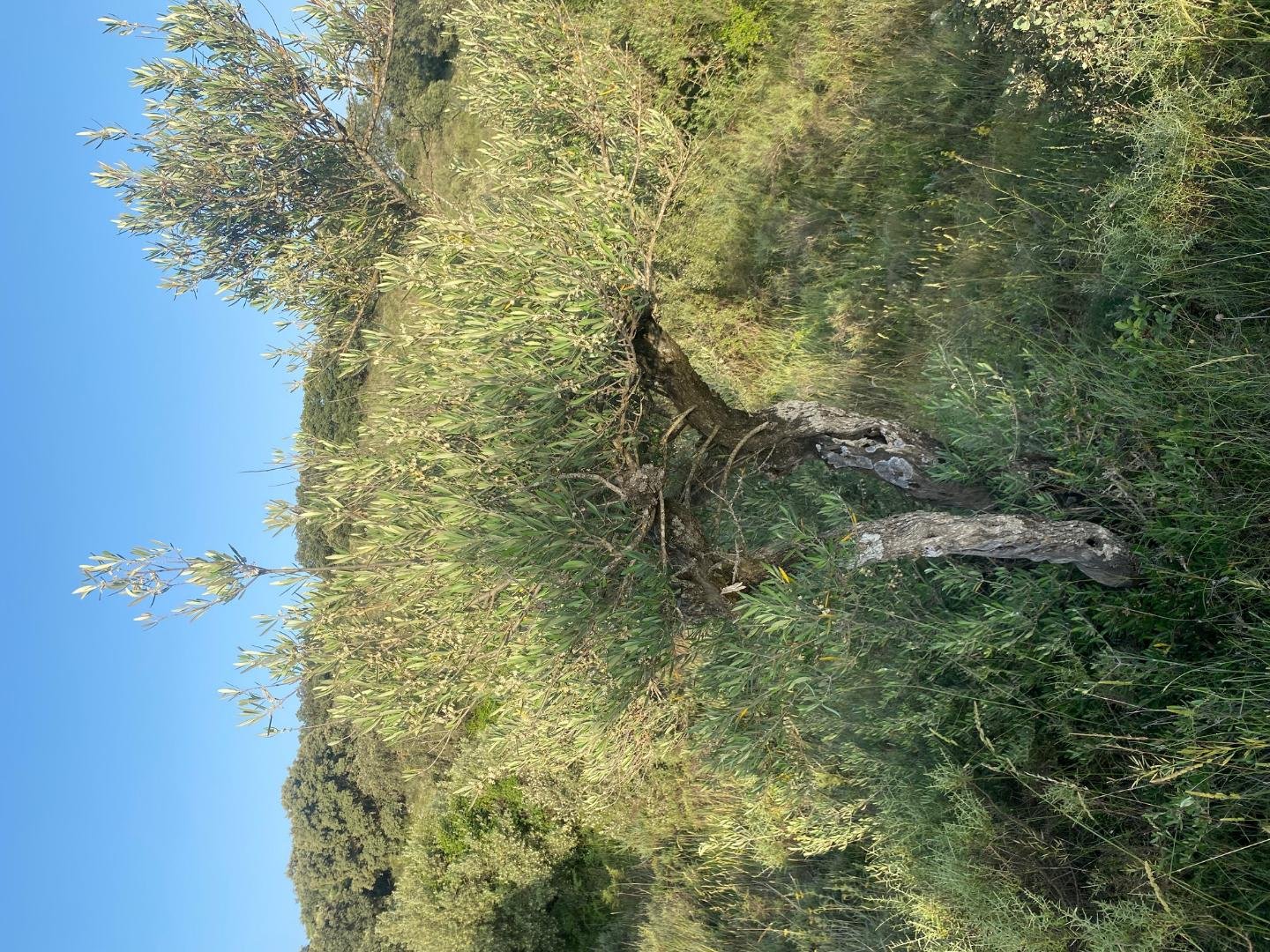 Piso en alquiler, Loranca de Tajuña