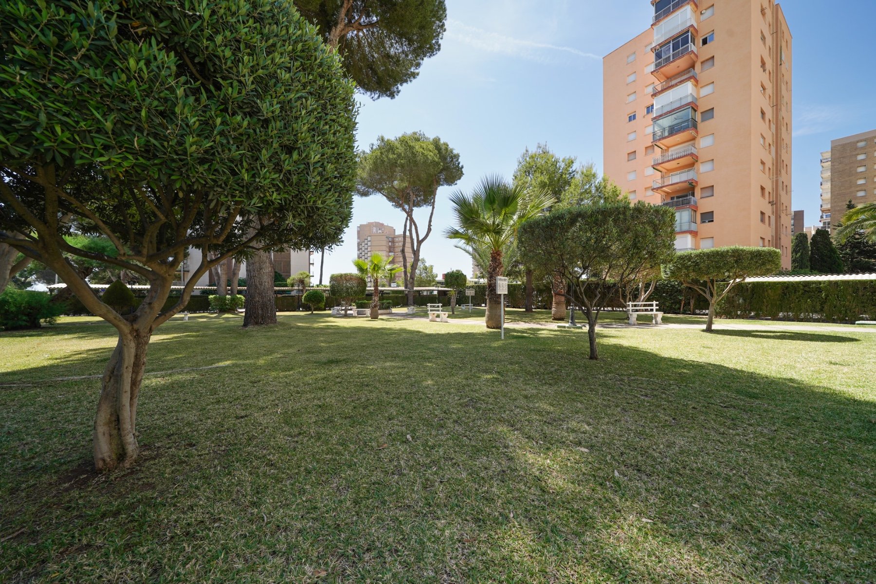 Wohnung 35 m² in Dolores