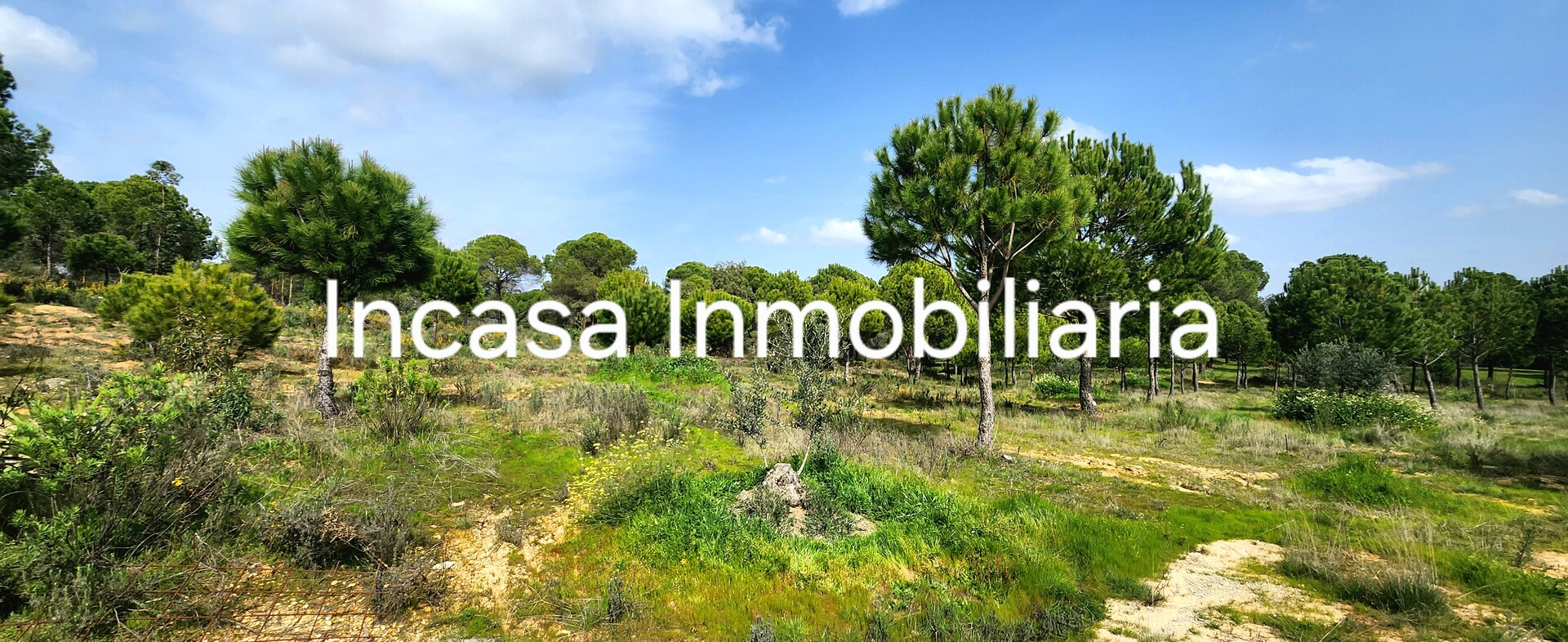 Appartamento 30 m² a Valverde del Camino