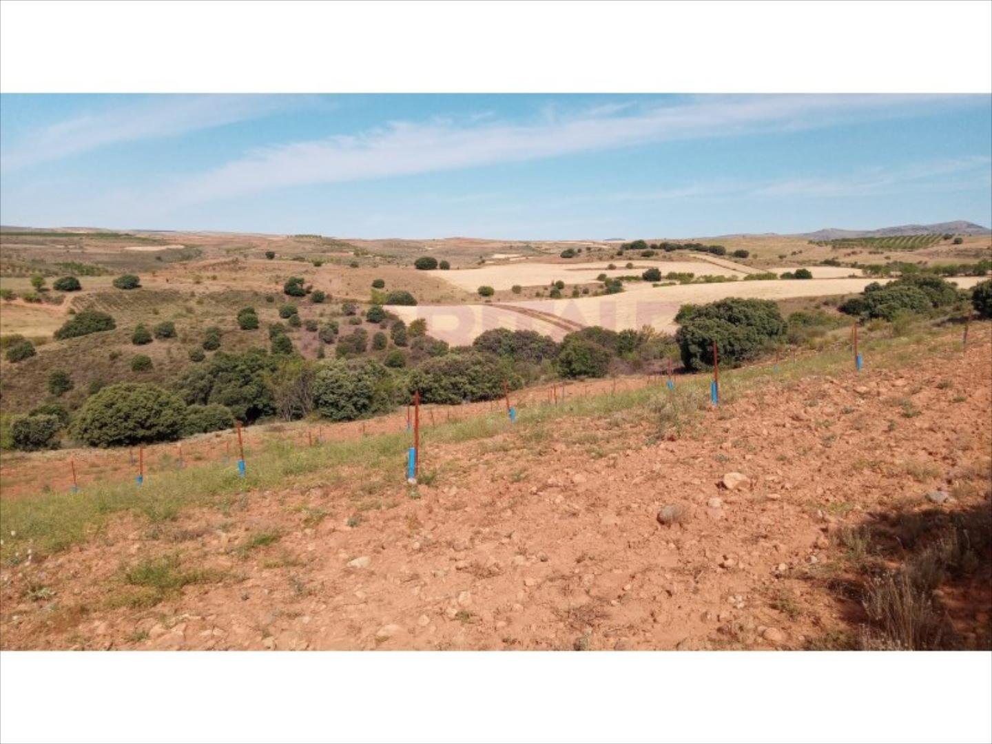 Pis de 3383 m² a Clarés de Ribota