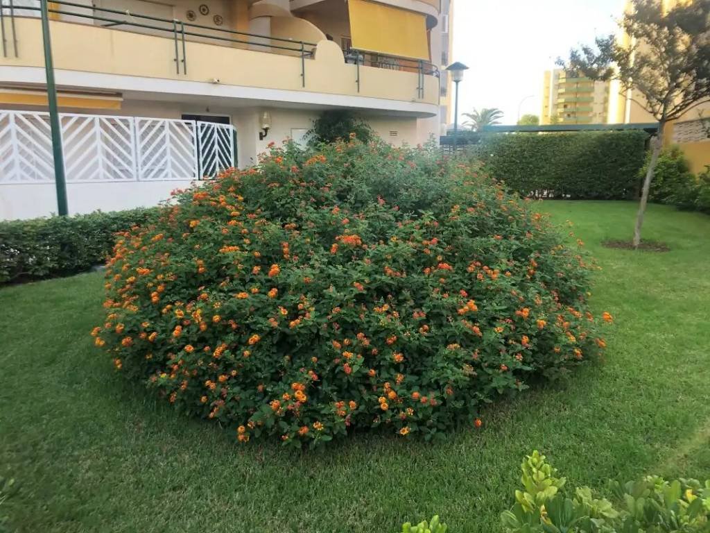 Piso de 95 m² en Gandía