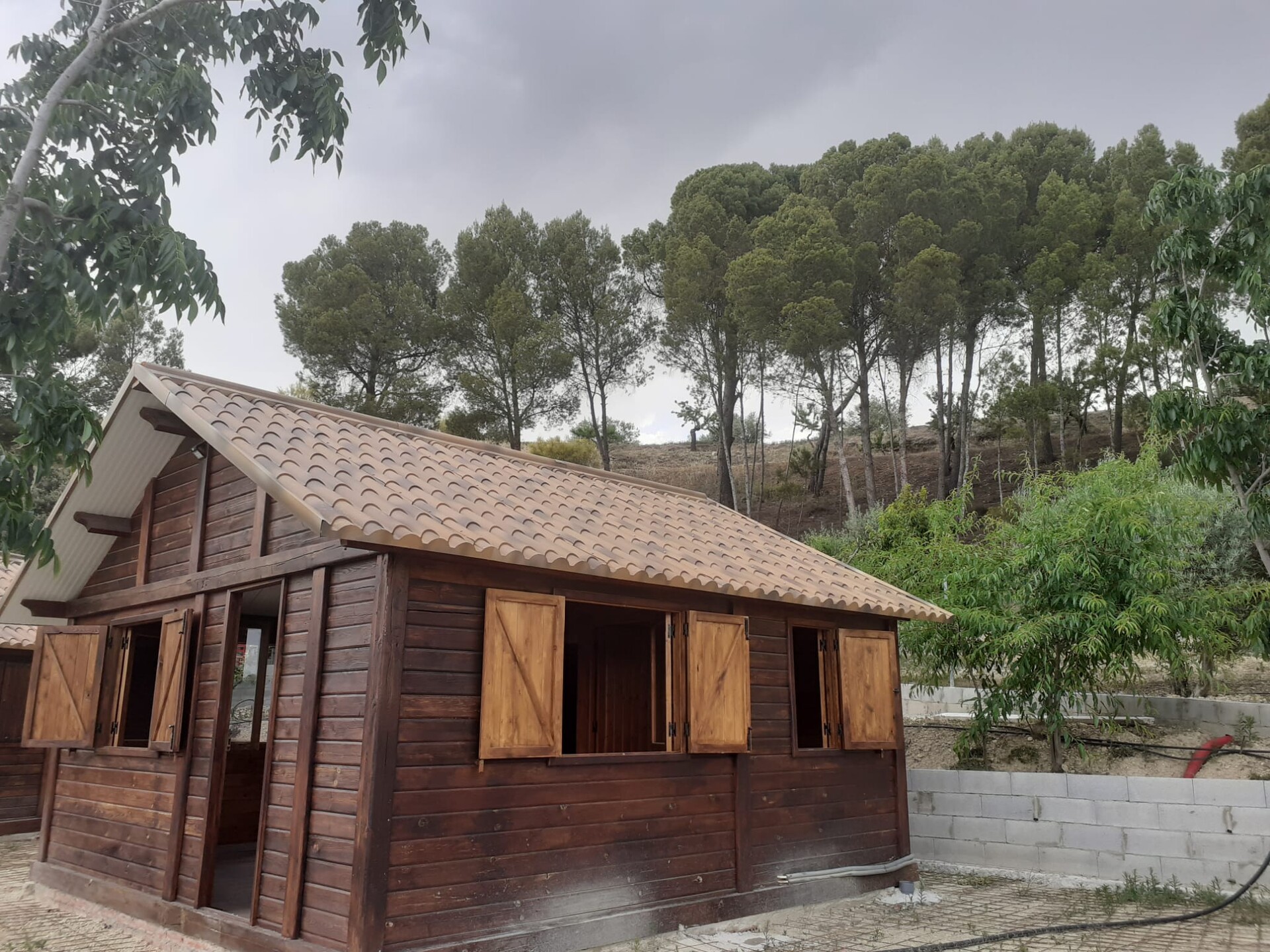 House 25 m² in Cortes de Baza