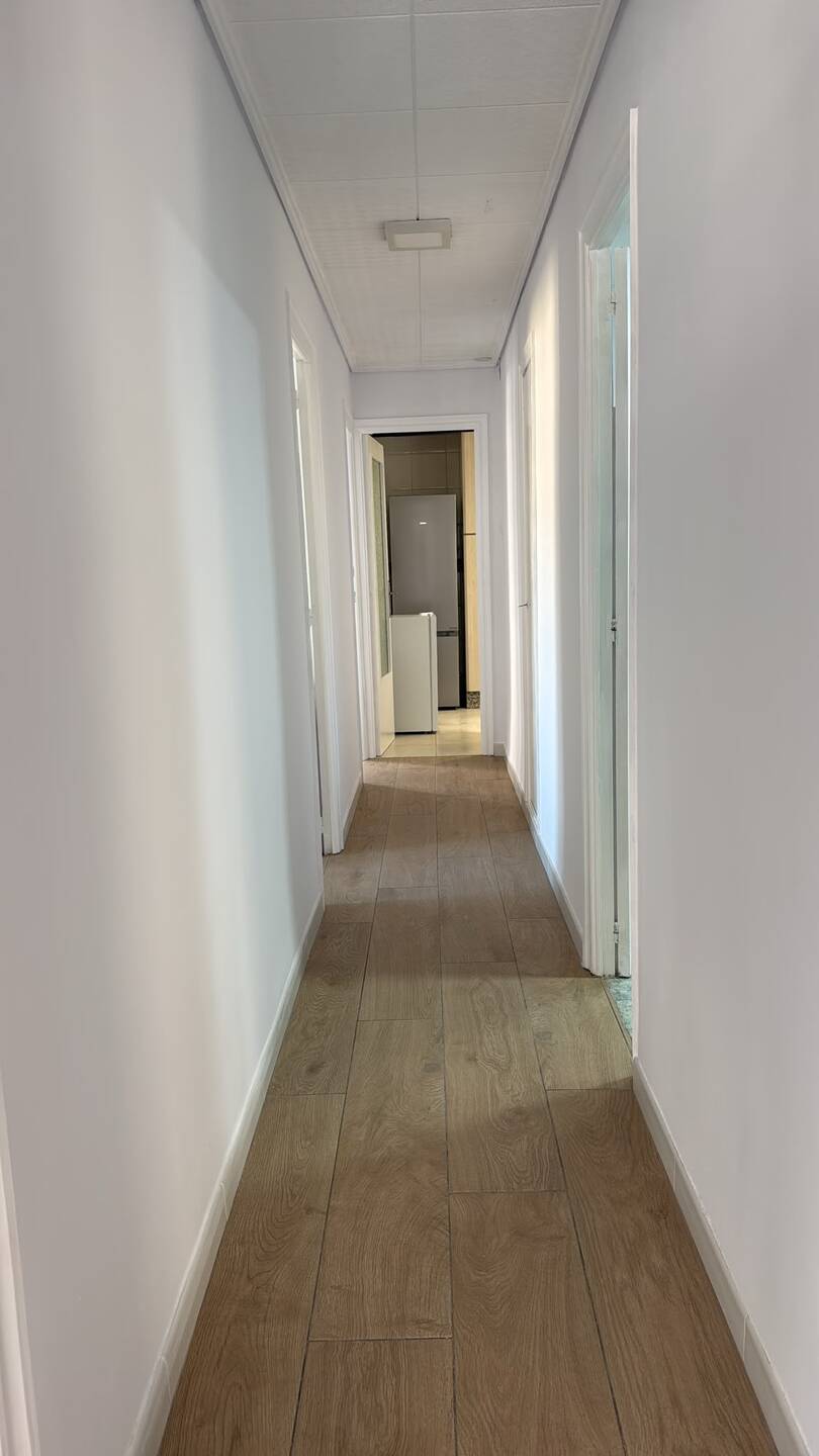 Habitació de lloguer, Elx