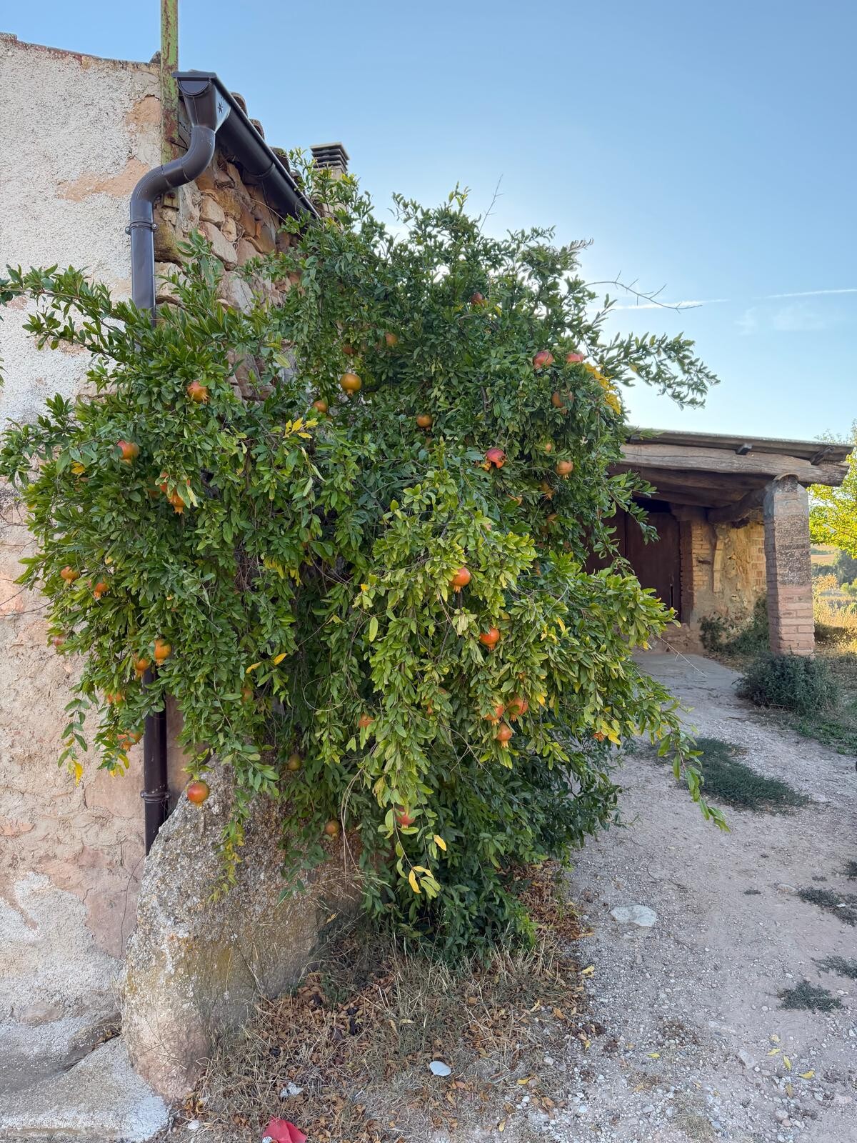 Casa 300 m² a Òdena