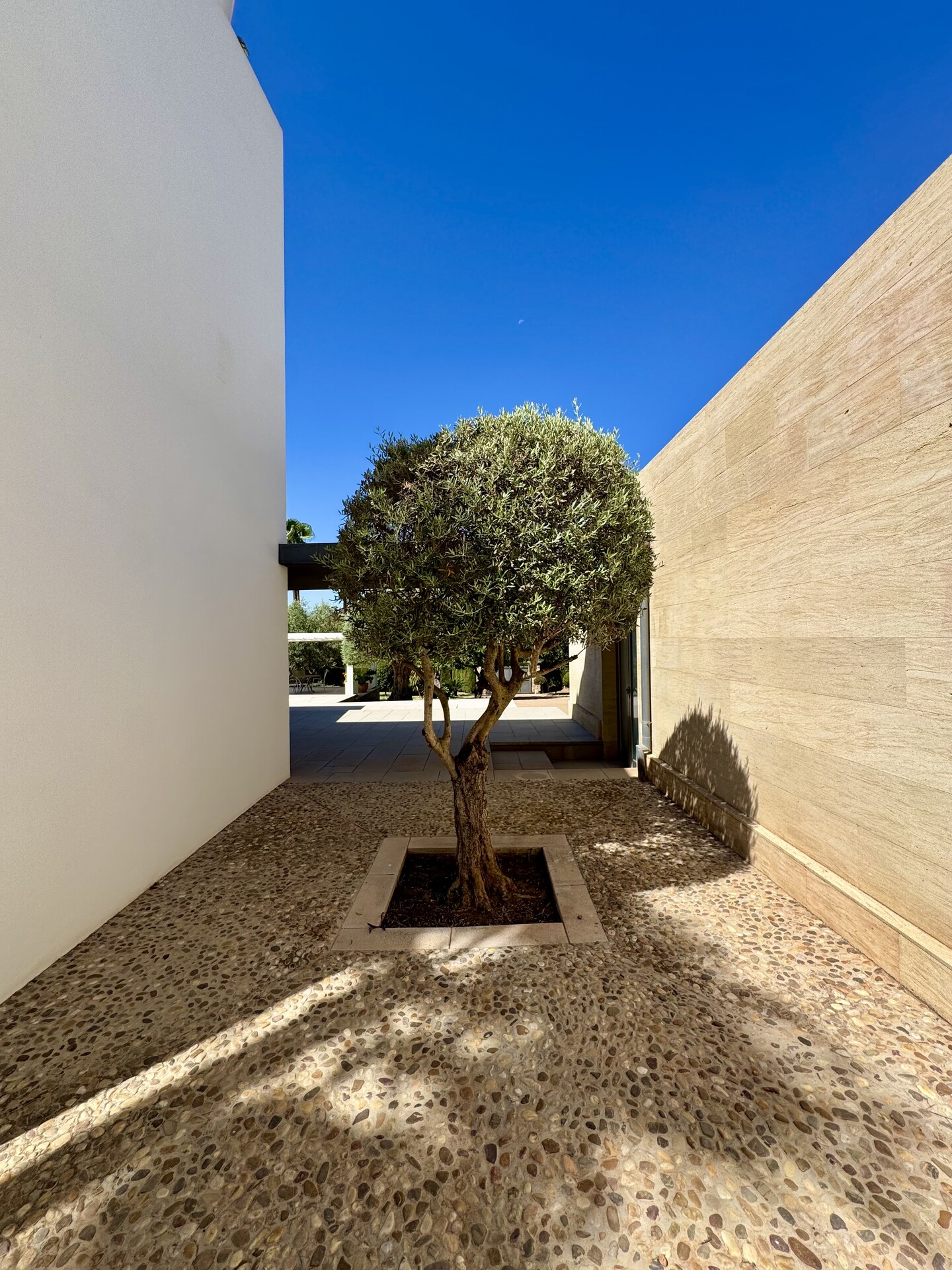 Piso de 378 m² en Bunyola