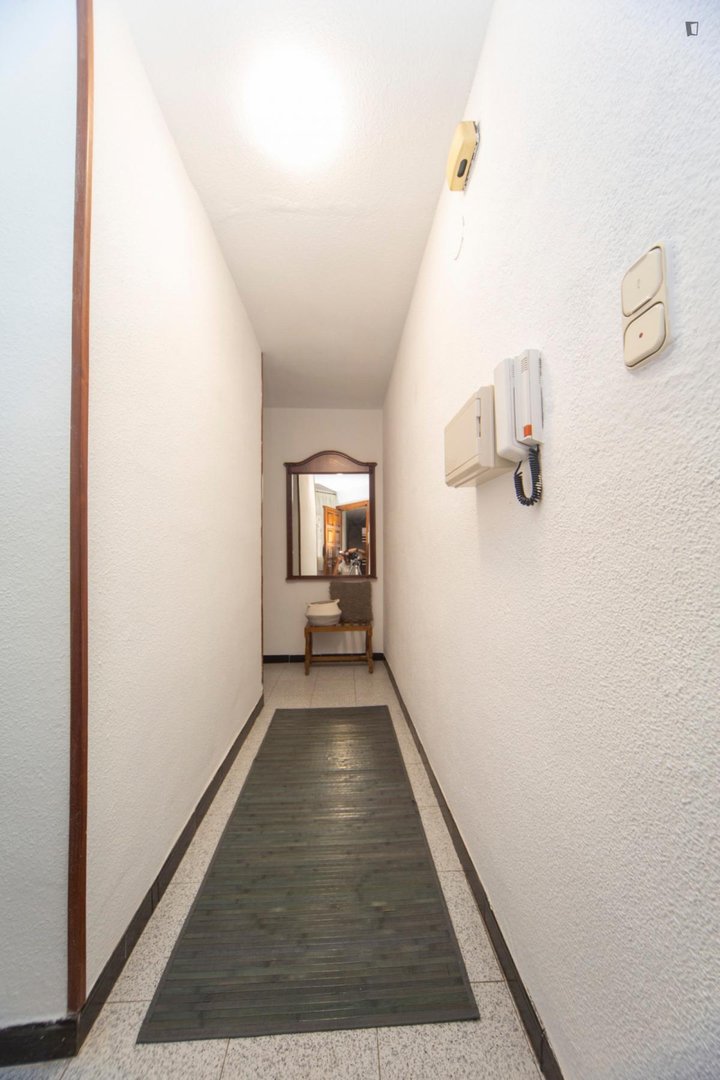Stanza in affitto, Granada