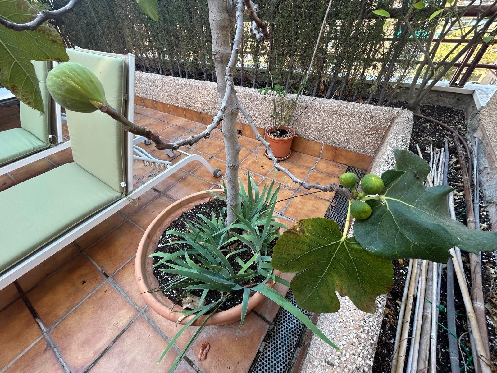 Appartamento 180 m² a Granada