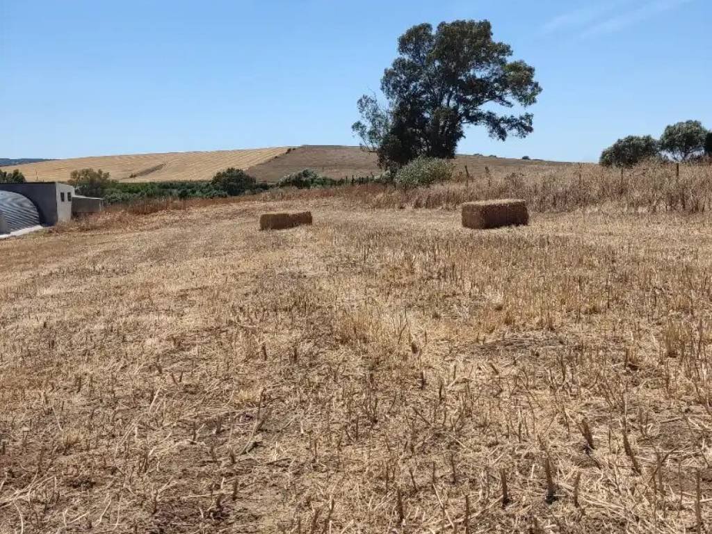 Pis de 200 m² a Medina Sidonia
