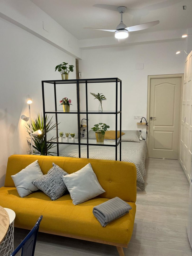 Pis de 24 m² a València