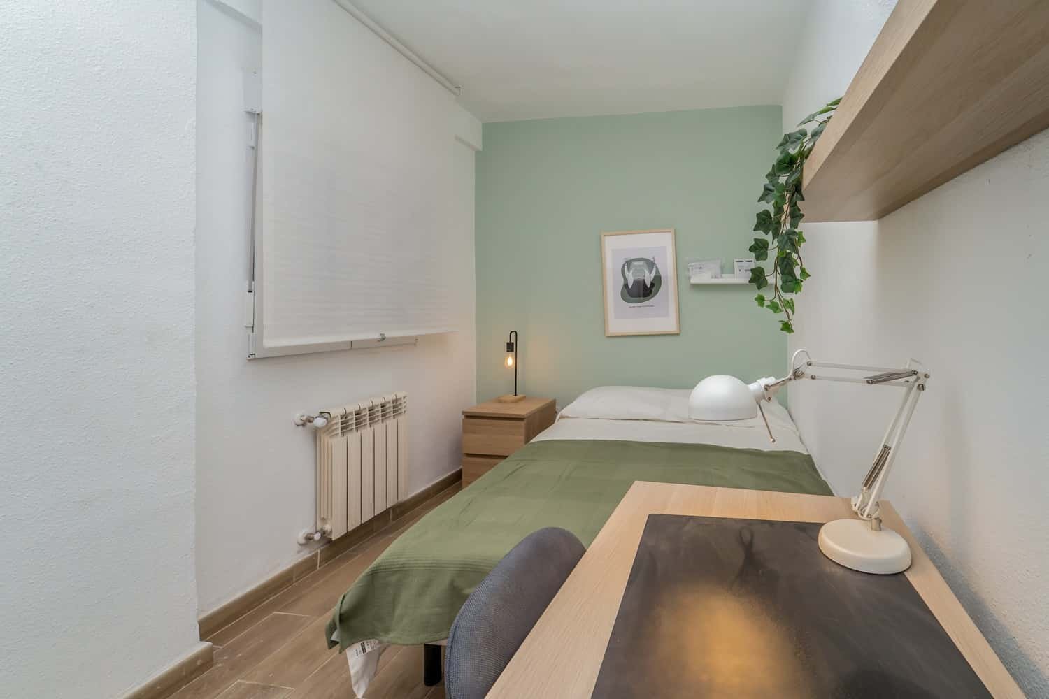 Habitació de lloguer, Valladolid