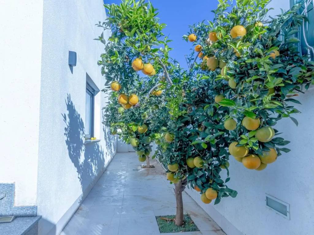Casa de 105 m² en San Javier