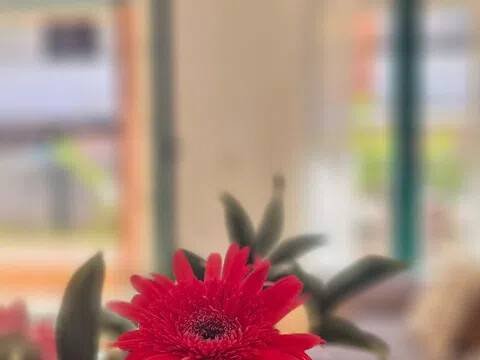 Piso de 100 m² en Estepona