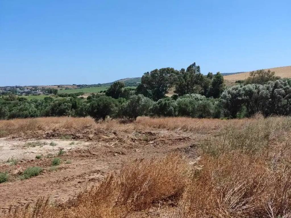 Pis de 200 m² a Medina Sidonia