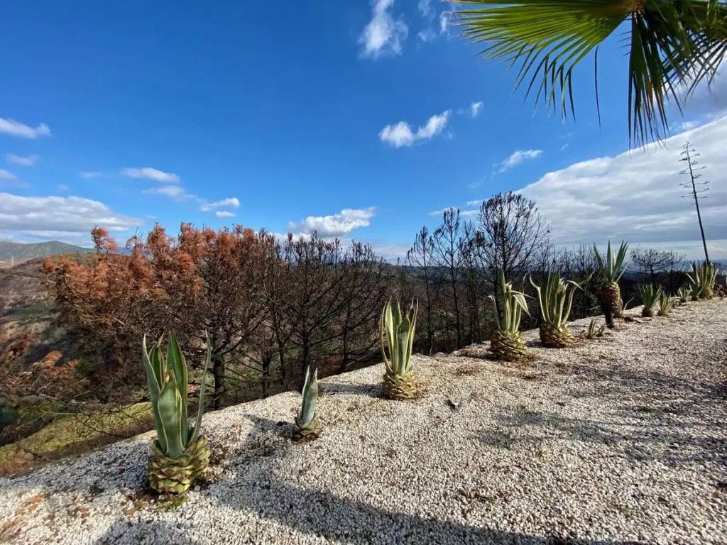 Casa de 800 m² en Estepona