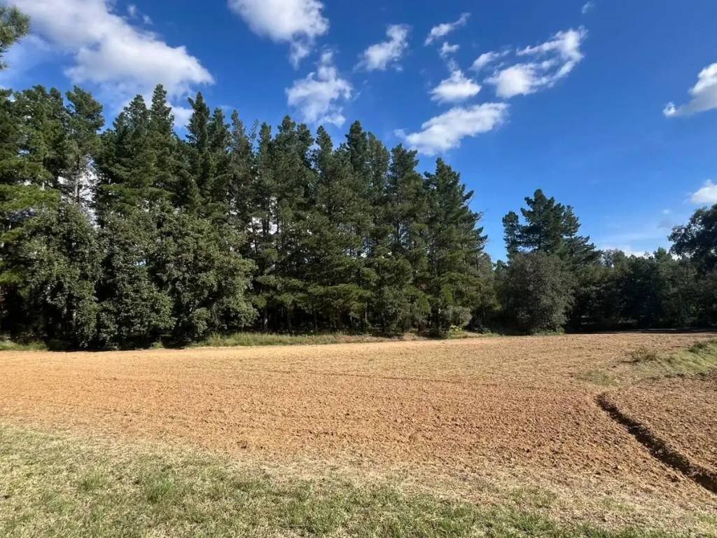 Piso de 311 m² en Riells i Viabrea