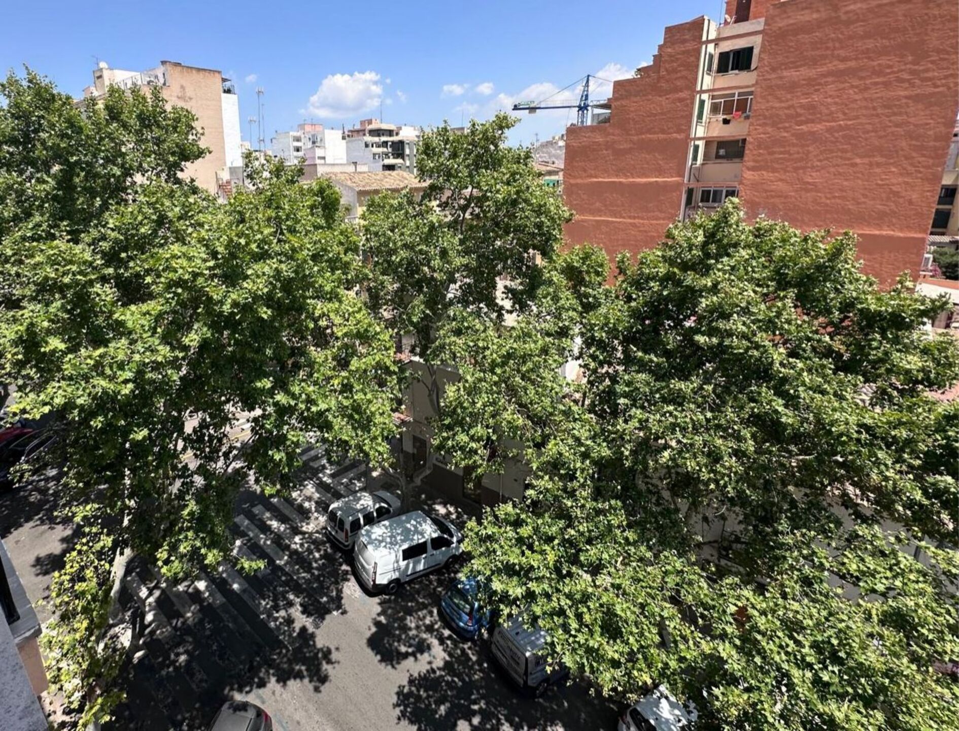 Stanza in affitto, Palma
