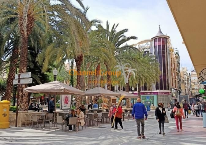 Wohnung 250 m² in Elx / Elche