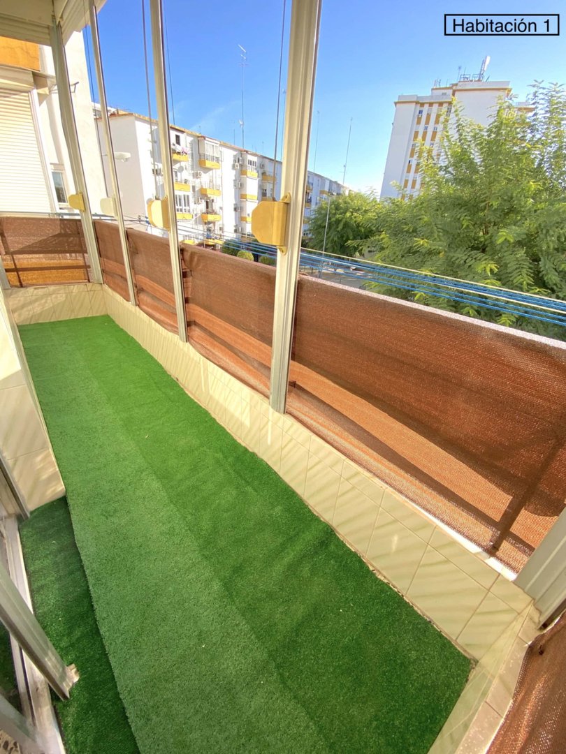Habitació de lloguer, Sevilla