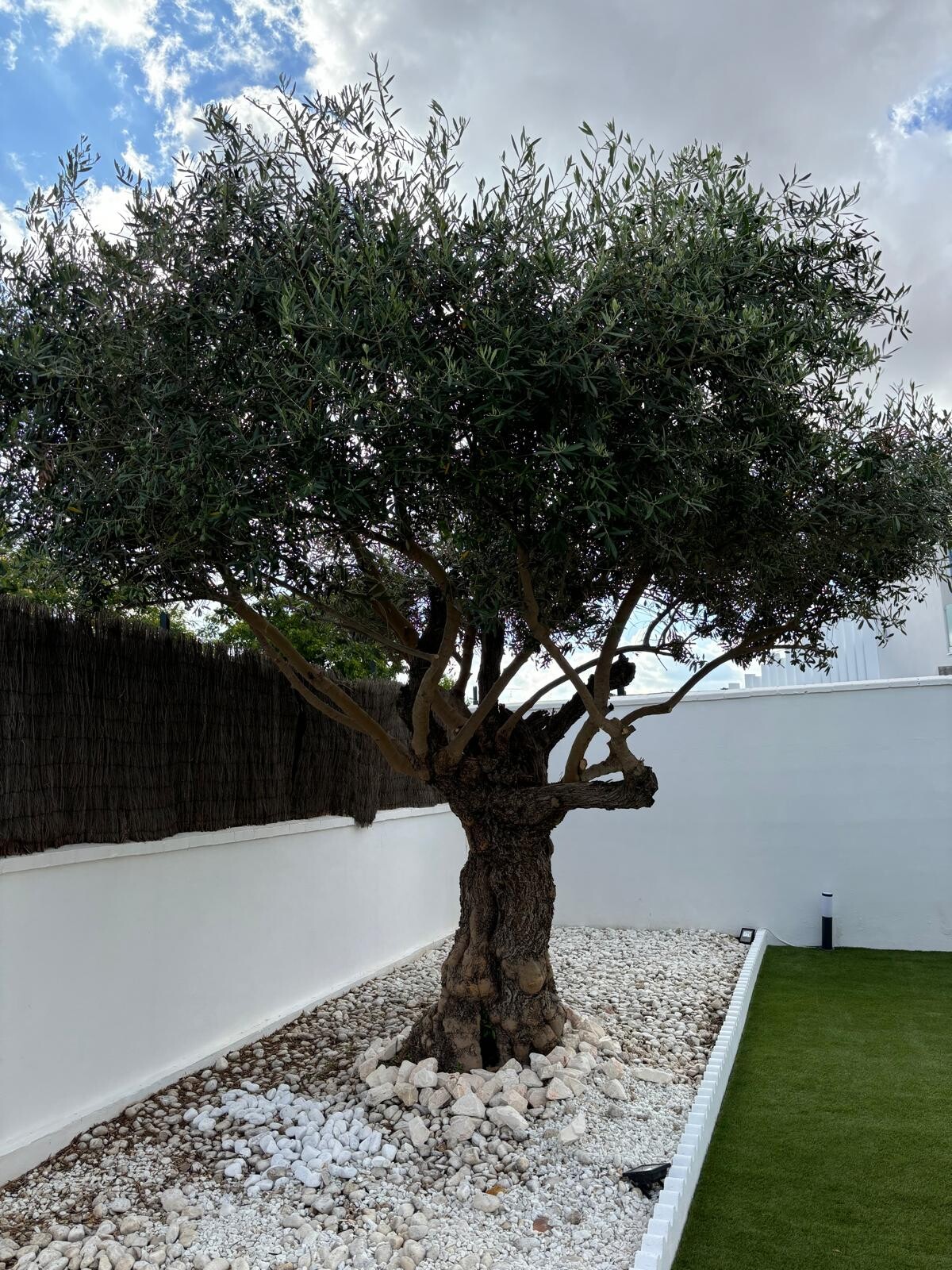 Piso de 176 m² en Bormujos