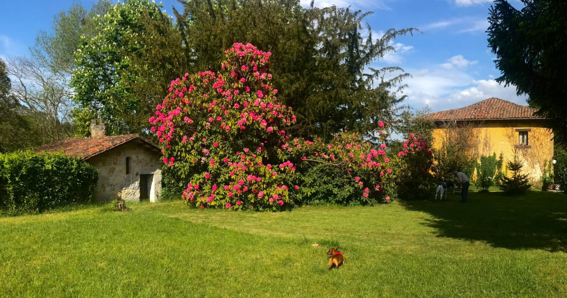 Piso de 500 m² en Nava