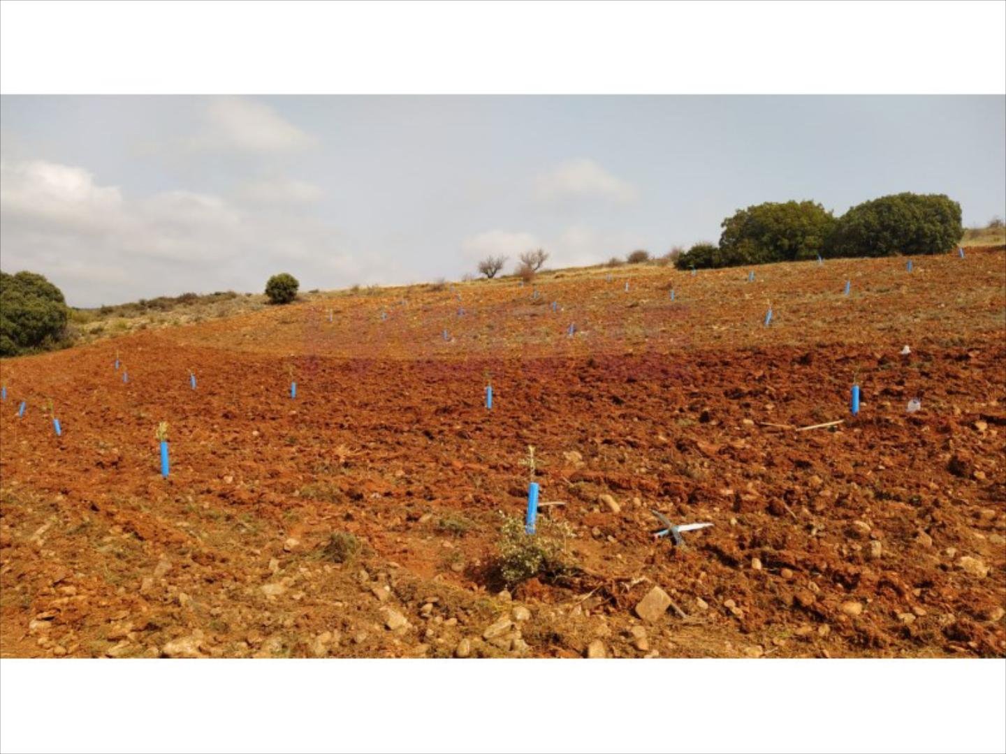 Pis de 3383 m² a Clarés de Ribota