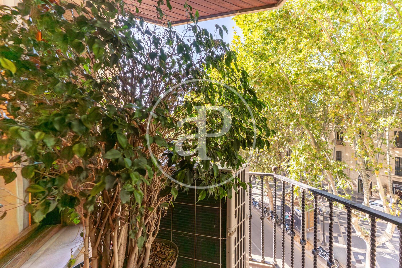 Pis de 166 m² a Palma