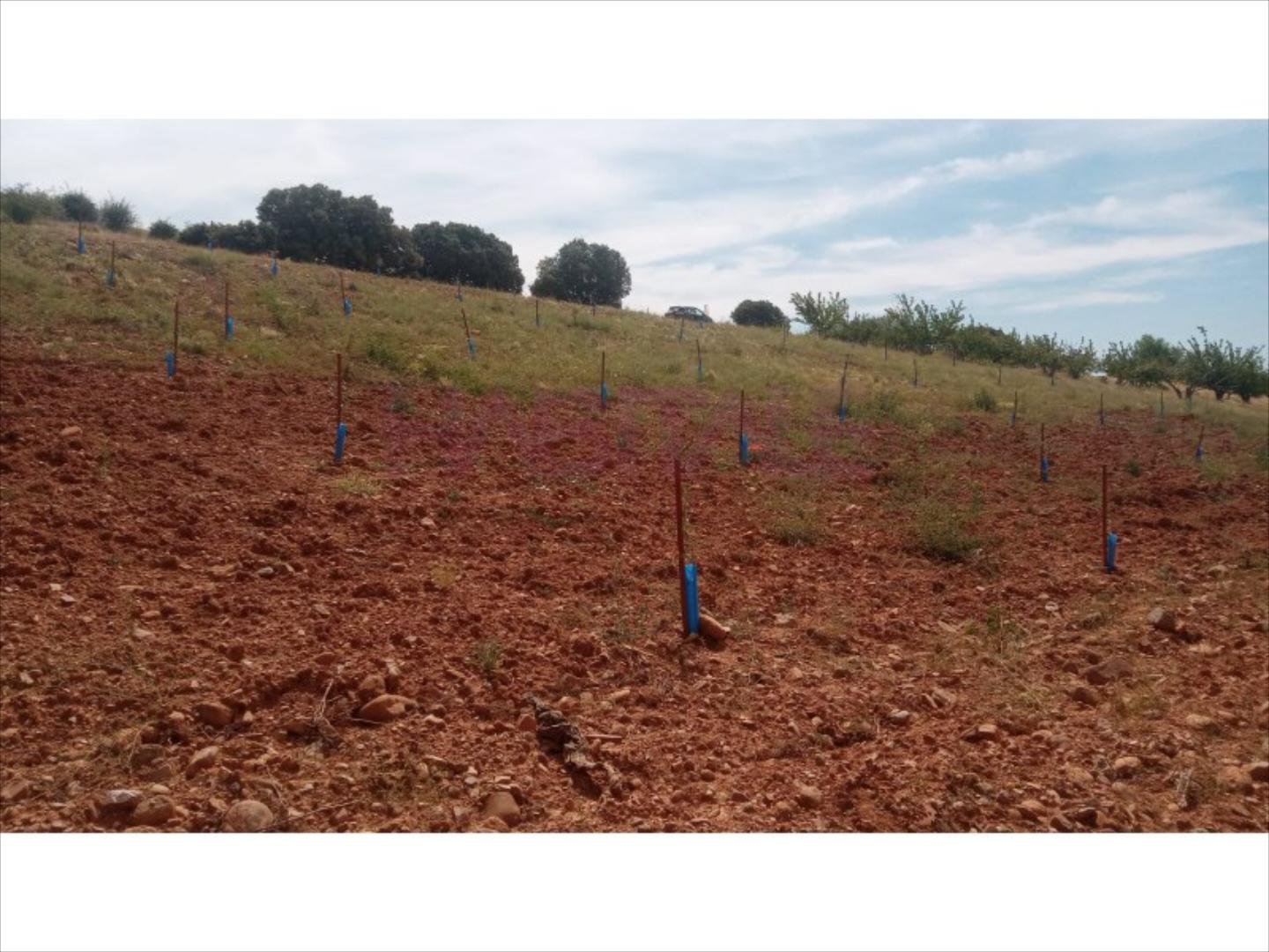 Pis de 3383 m² a Clarés de Ribota