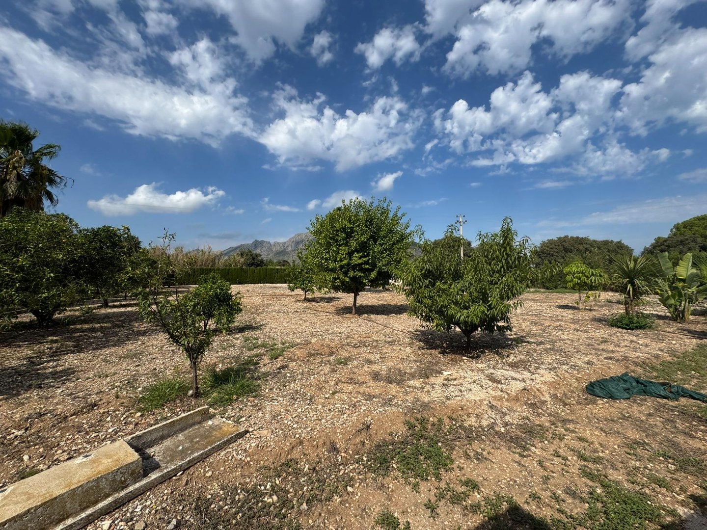 Casa de 440 m² en Ondara