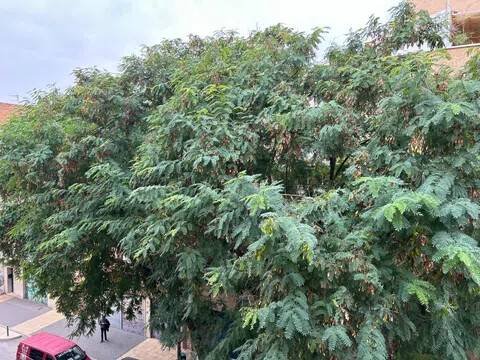 Piso de 75 m² en Murcia