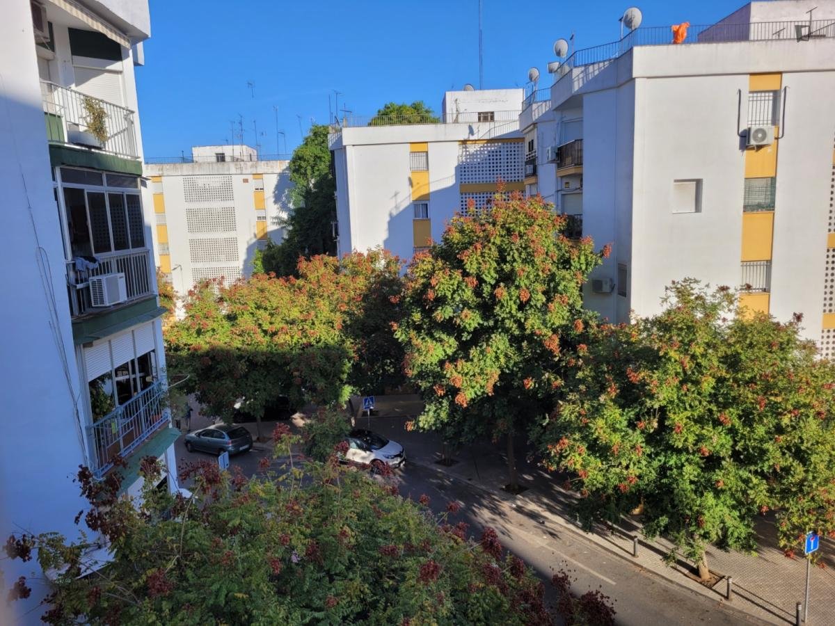 Habitación en alquiler, Sevilla