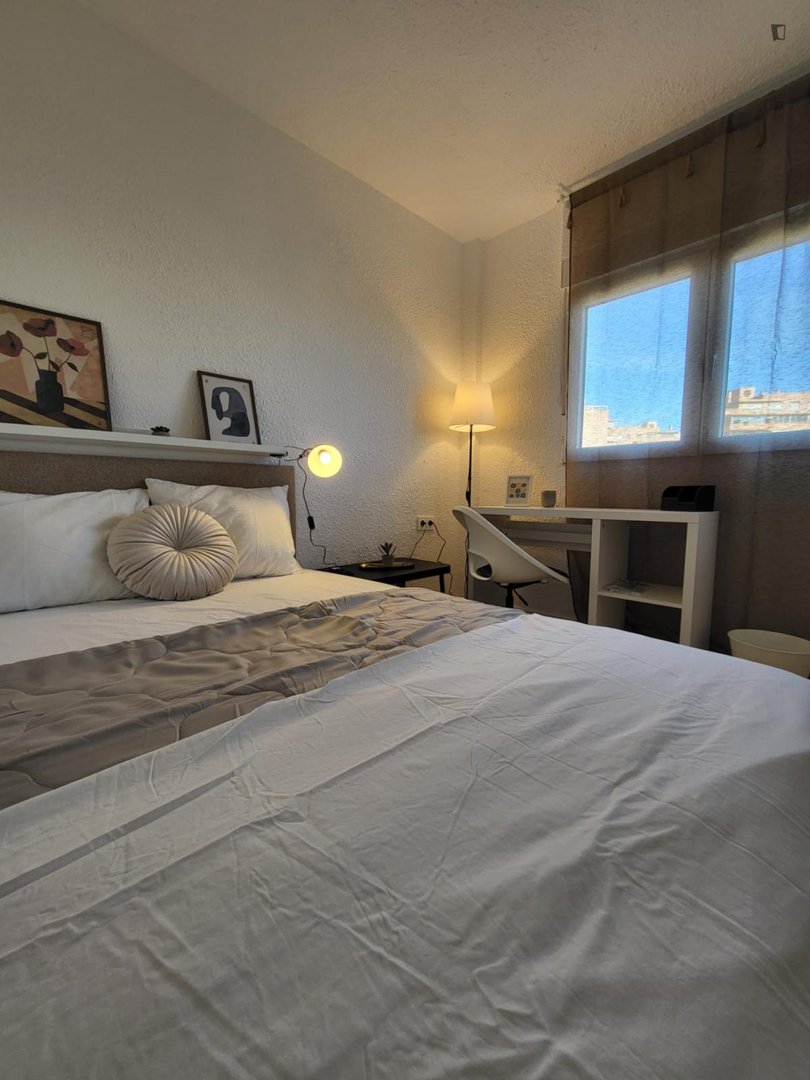 Stanza in affitto, Alacant / Alicante