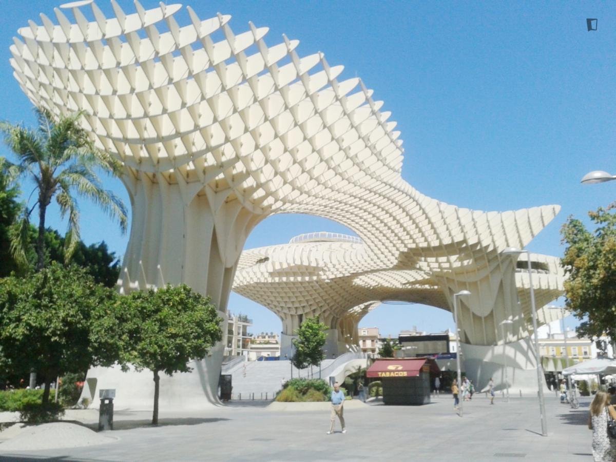 Zimmer zur Miete, Sevilla