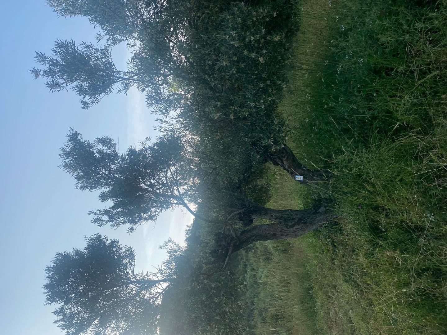 Piso en alquiler, Loranca de Tajuña