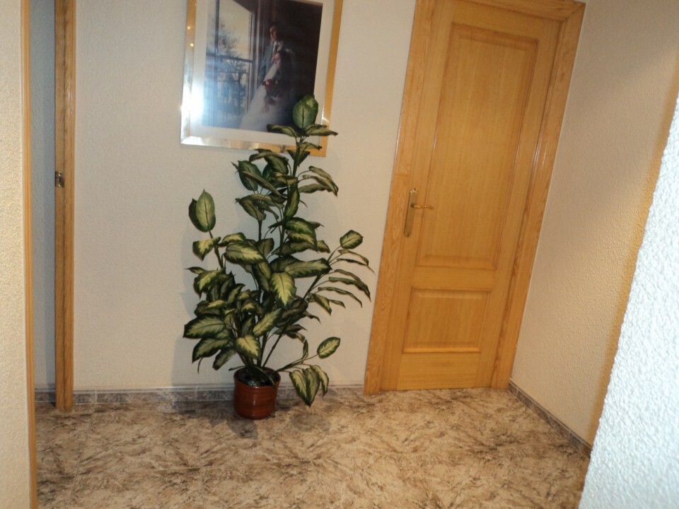 Habitación 100 m², Elche