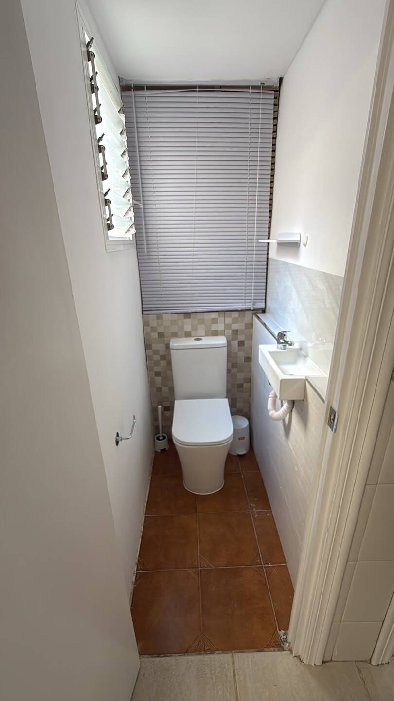 Habitació de lloguer, Elx