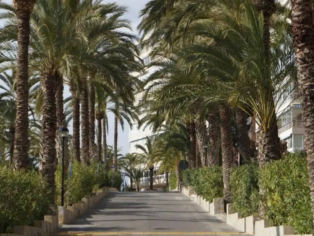 Piso en alquiler, el Campello