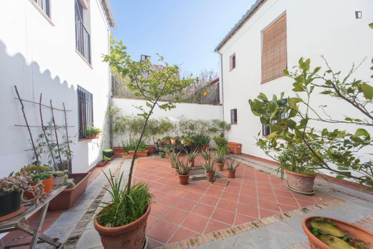 Pis de lloguer, Granada