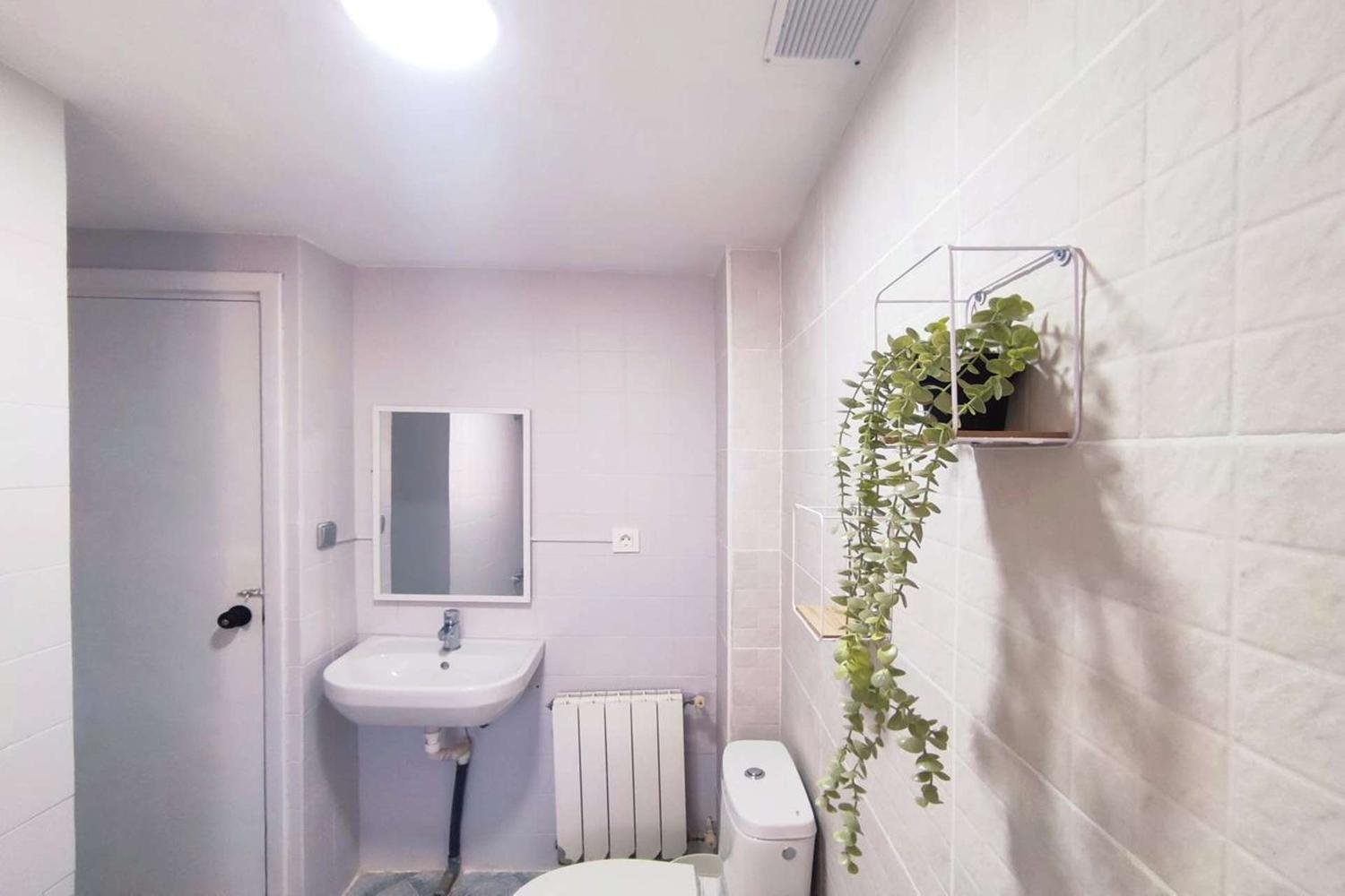 Zimmer zur Miete, Granada