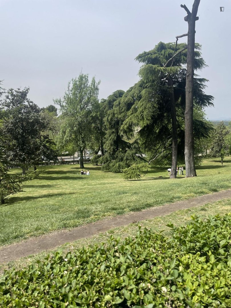 Habitació de lloguer, Madrid