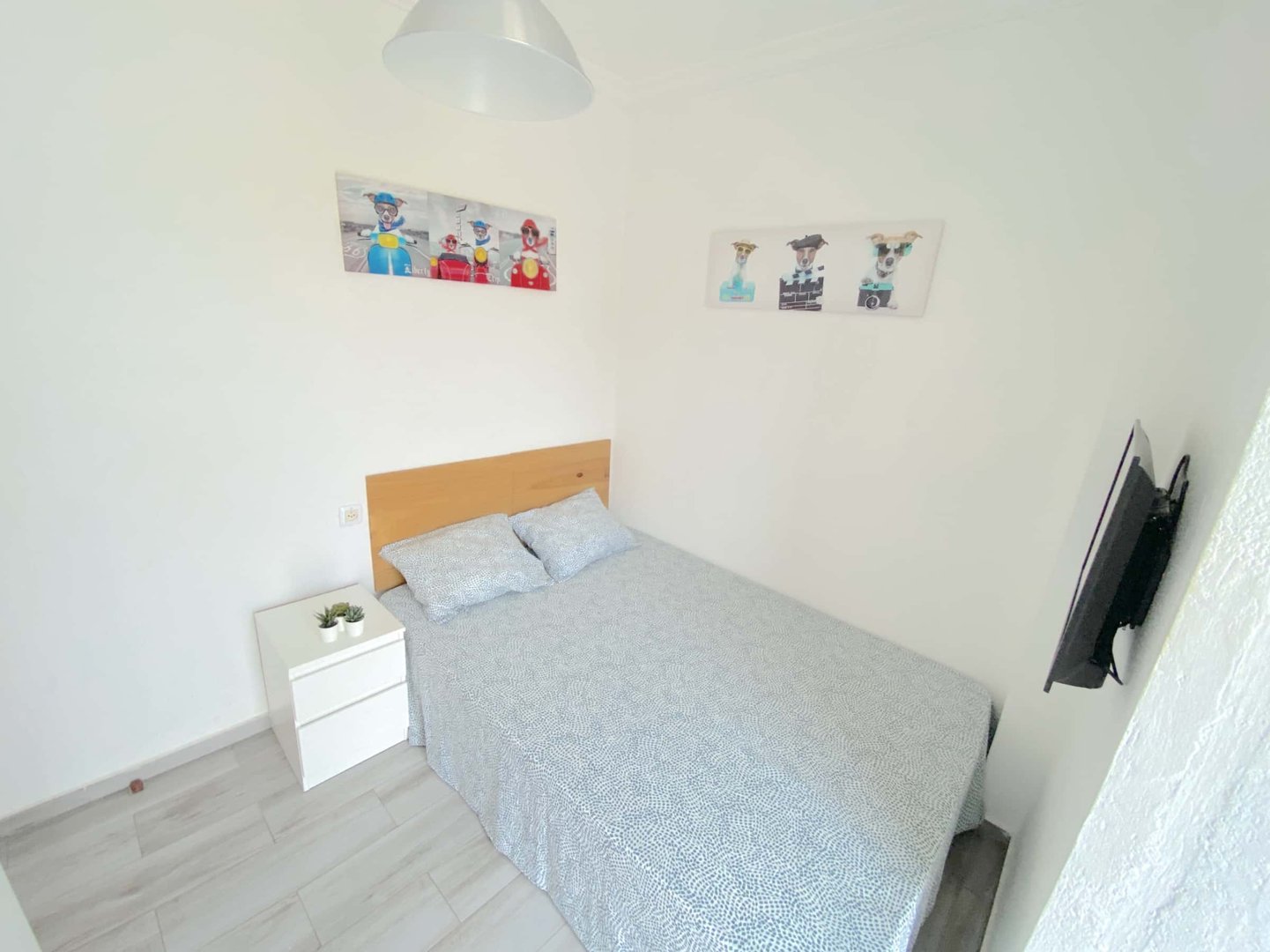 Habitació de lloguer, Sevilla