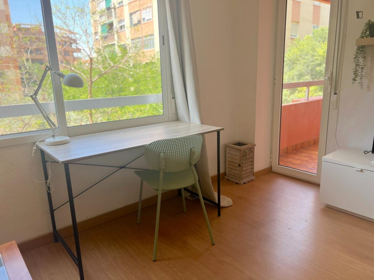 Stanza in affitto, Valencia