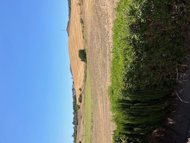 Apartamento 67 m² em Vejer de la Frontera